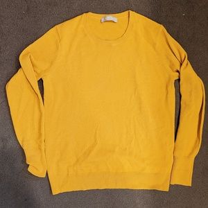 Cashmere Everlane sweater